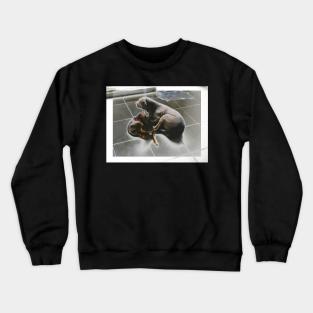 Friendship Crewneck Sweatshirt